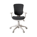 Ergonomic Office Chair with Adjustable Features