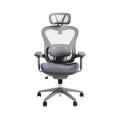 Ergonomic Mesh Office Chair with Adjustable Features